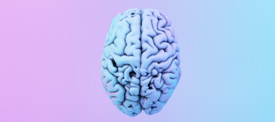 Beyin Sisini Yenmek için Yöntemler