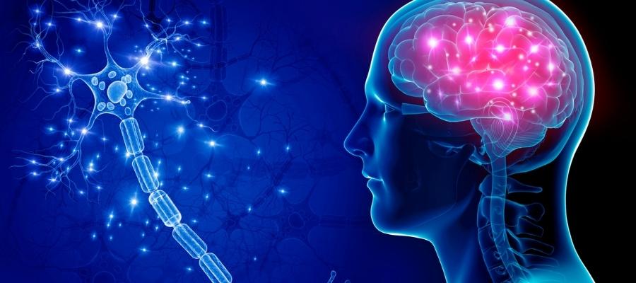 Zihinsel Bulanıklık: Beyin Sisi Nedir?