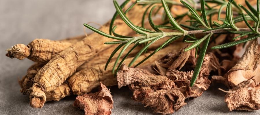 Ginseng'in Sağlık Faydaları