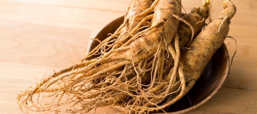 Doğanın Enerji Kaynağı: Ginseng Nedir?