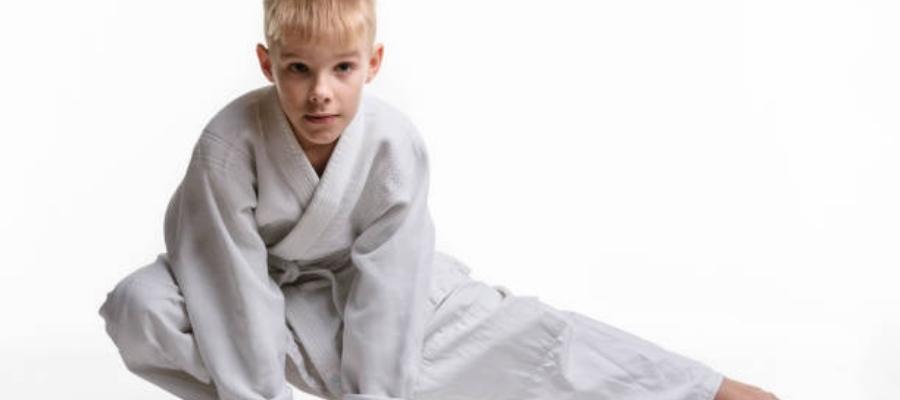 Hapkido ve Diğer Dövüş Sanatları Arasındaki Farklar