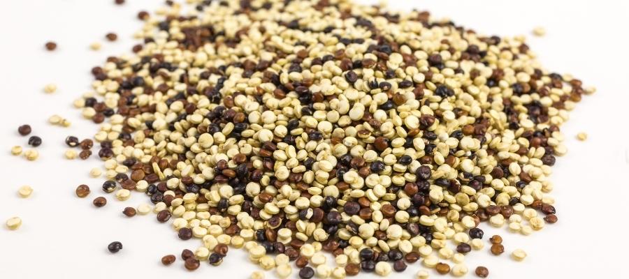 Kinoa Tohumu Kimler için Uygun?