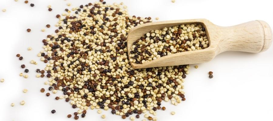 Süper Yiyecek: Kinoa Tohumu Faydaları Nelerdir?