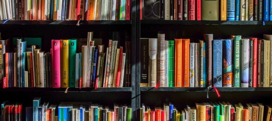 Hangi Kitap Serisini Okumalıyım?