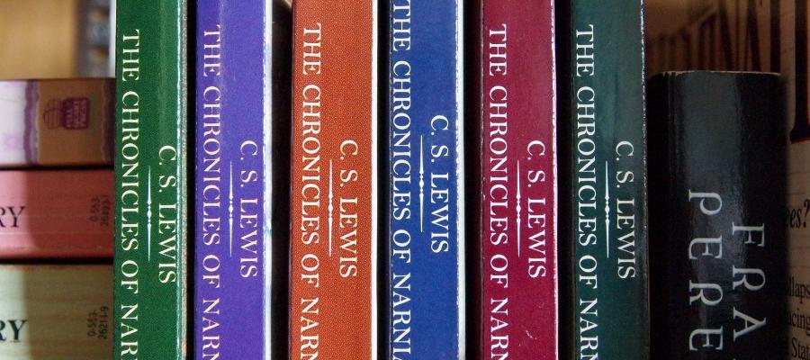 Macera Başlasın: Kitap Serisi Önerileri