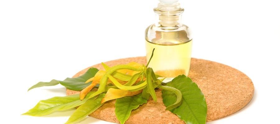 Ylang Ylang Yağı Nasıl Kullanılır?
