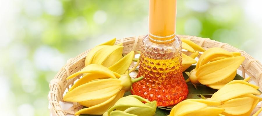 Doğanın Mucizesi: Ylang Ylang Yağı Faydaları Nelerdir?