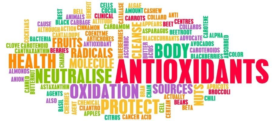 Antioksidan Nedir? Ne İşe Yarar?