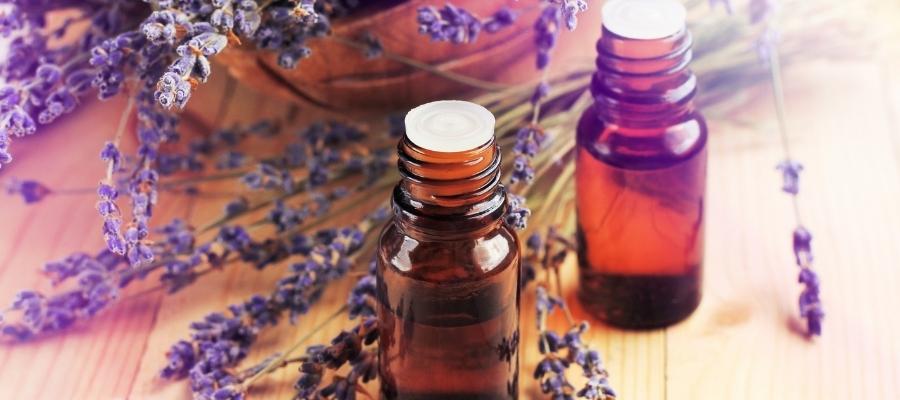 Lavanta Bitkisinin Kullanım Alanları