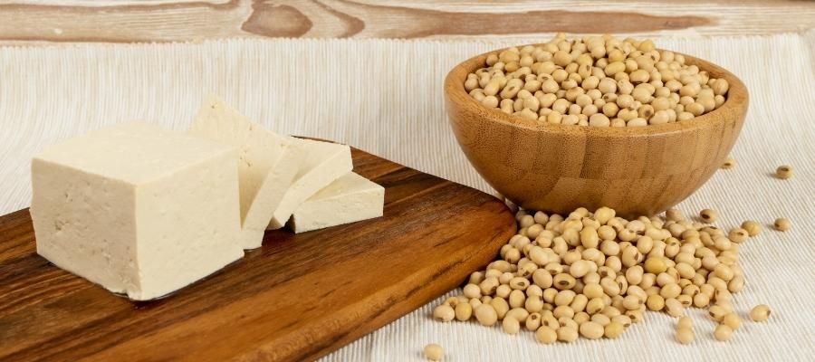 Soya Peyniri için Gereken Malzemeler
