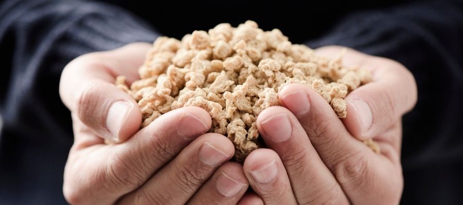 Soya Proteini Cilde Faydaları