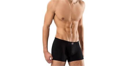 Şık Tasarımlı Erdem Erkek Boxer Özellikleri