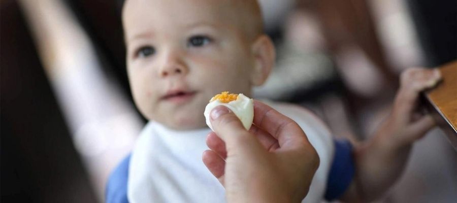 Bebeklerde Yumurta Alerjisi Belirtileri
