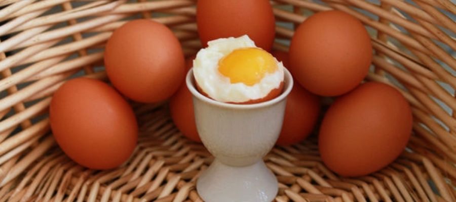 Yumurtanın Sağlık Üzerindeki Etkileri Nelerdir?