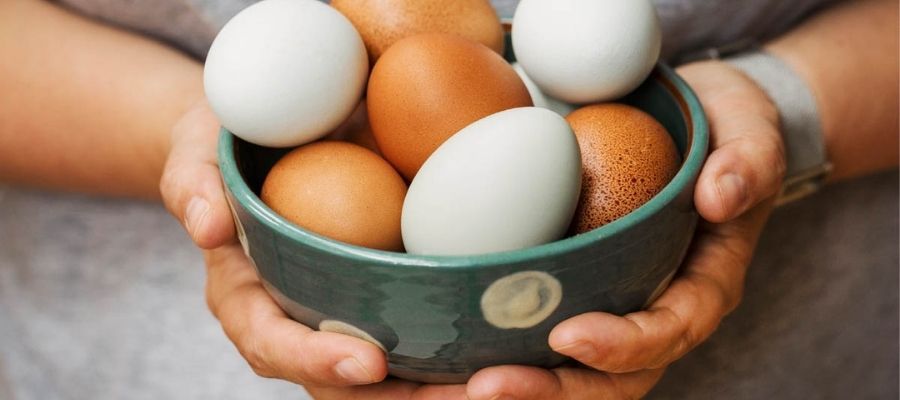 Sağlıklı Yumurta Seçmek İçin Dikkat Edilmesi Gerekenler