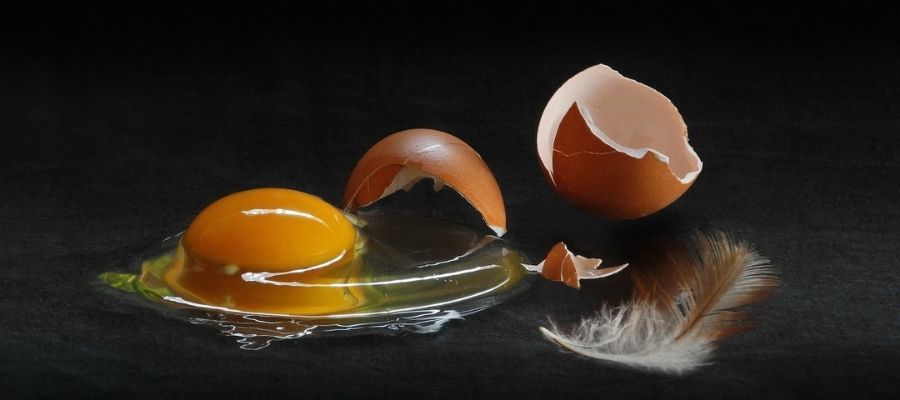 Bozuk Yumurta Nasıl Anlaşılır? Sağlıklı Yumurta Seçimi İçin İpuçları
