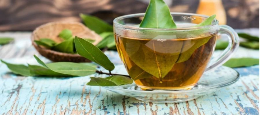 Defne Yaprağı Çayının Faydaları: Vücudunuza Etkileri Nelerdir?