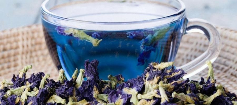 Mavi Kelebek Çayının Sağlık Açısından Faydaları