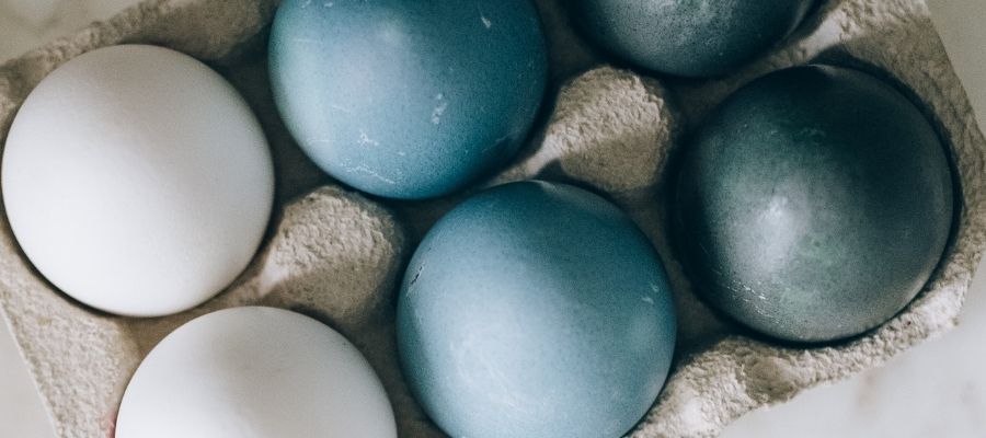 Mavi Yumurtanın Farkı Nedir ve Engelleme Yolları ve Önleme Yöntemleri