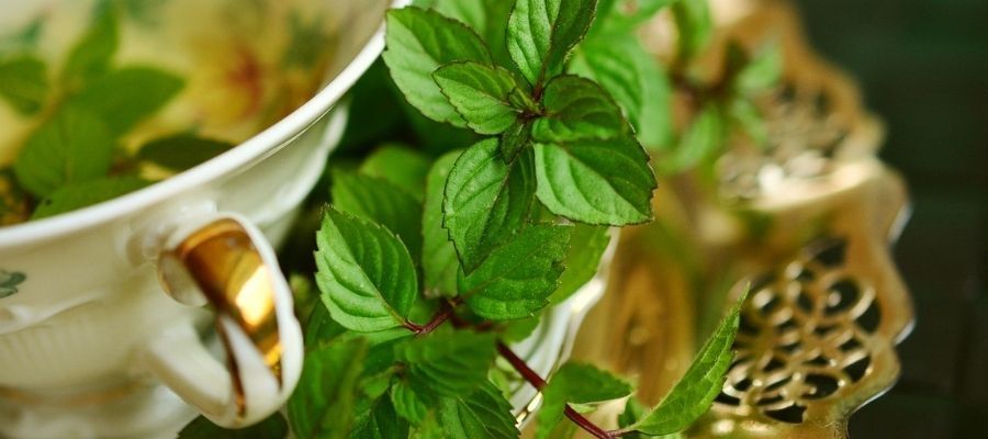 Nane Çayının Sağlık Faydaları Nelerdir?