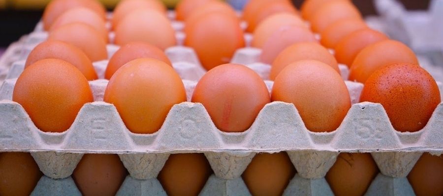 Günde Kaç Adet Yumurta Tüketmek Sağlıklı?