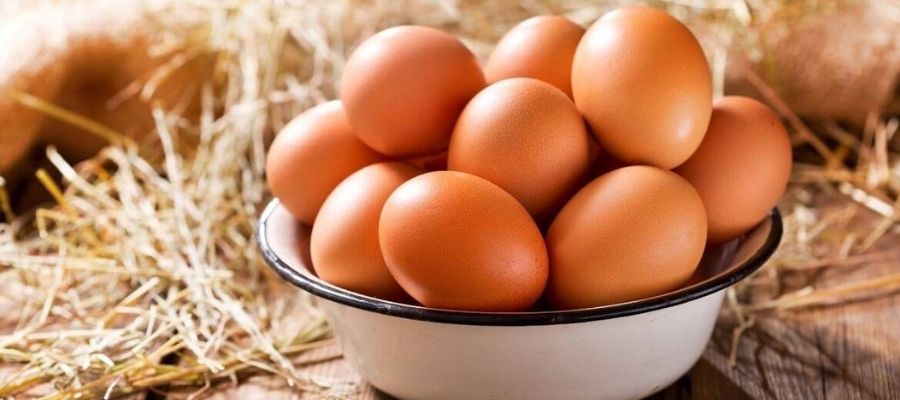 Yumurta Besin Değeri Nedir?