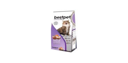 Avantajlı Bestpet Kedi Maması Fiyatları