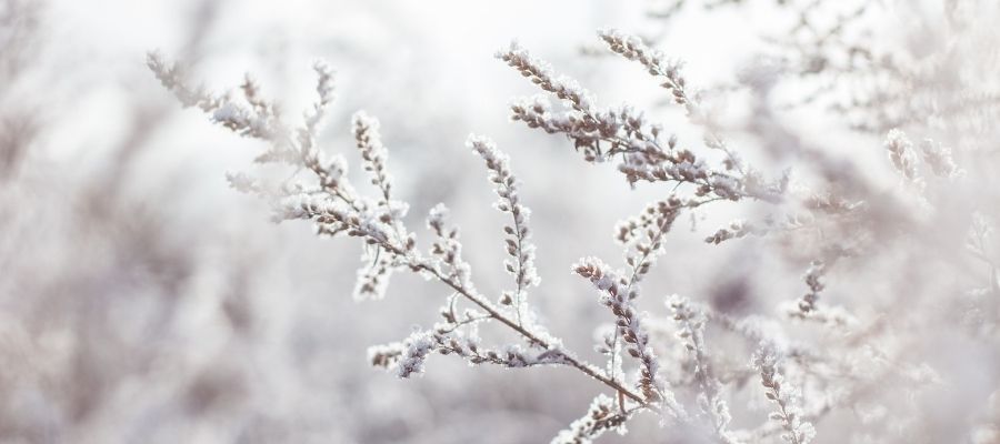 Kış Aktiviteleri: Soğuk Havalarda Yapılabilecek Eğlenceli Şeyler