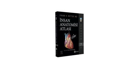 Sağlık Alanında Anatomi ve Önemi