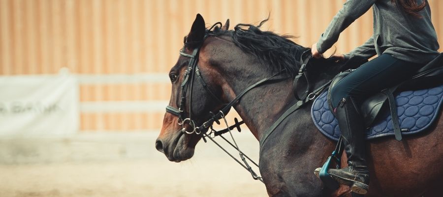 Rahat ve Sportif: At Binerken Ne Giyilir?
