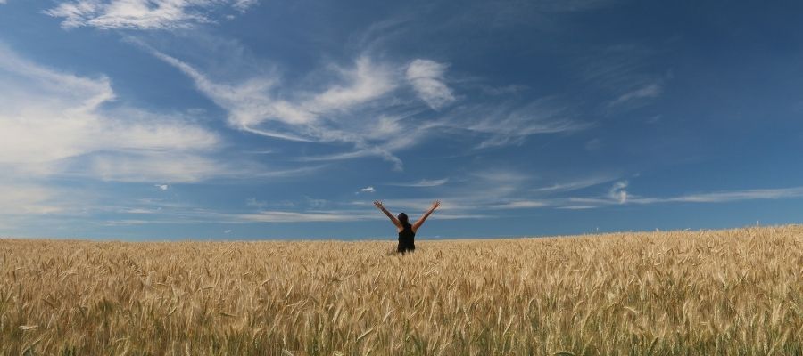 Saç Bakımı için Buğday Proteini Nasıl Kullanılır?