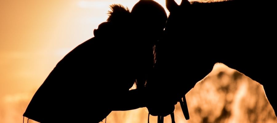 Dresaj Nedir? Nasıl Yapılır?