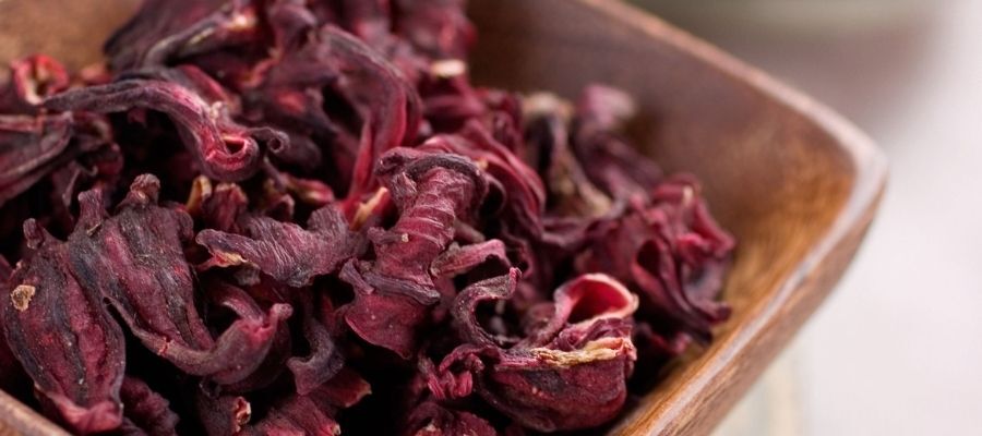 Hibiscus Nasıl Tüketilir?