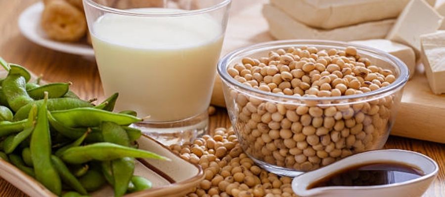 Soya Fasulyesi ile Farklı Lezzetler