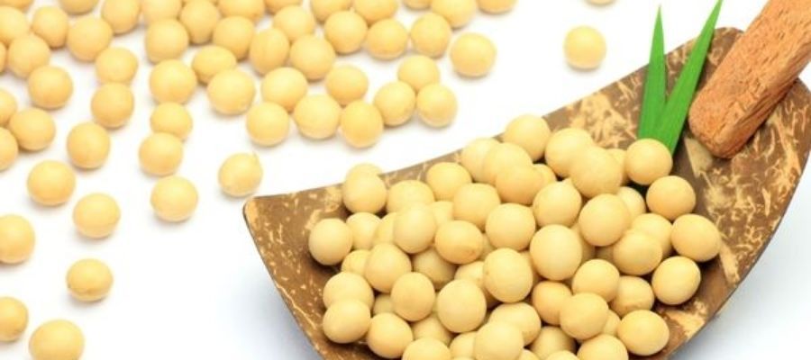 Protein Kaynağı Soya Fasulyesi Tarifi