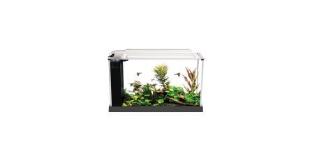Fluval Çeşitleri ile Akvaryumunuz Hep Tertemiz!