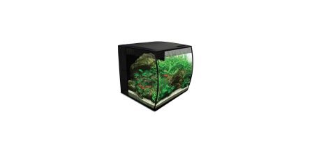 Her Bütçeye Uygun Fluval Fiyatları