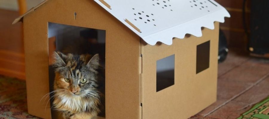 Sokak Canları Üşümesin: Kedi Evi Yapımı
