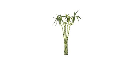 Estetik Görünümü ile Dekorasyona Katkı Sağlayan Bambu Çiçeği