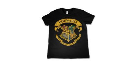 Farklı Tasarımlarıyla Beğenilen Harry Potter Tişört Modelleri
