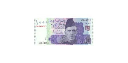 Nostaljik Pakistan Para Koleksiyonu