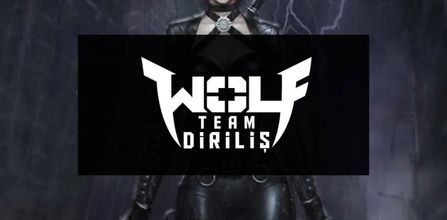 Joygame Wolfteam 100.000 Joypara Özellikleri
