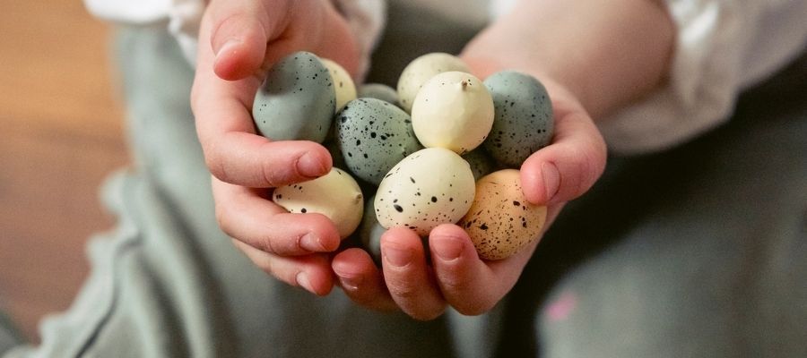 Bıldırcın Yumurtası Tüketiminde Dikkat Edilmesi Gerekenler Nelerdir?