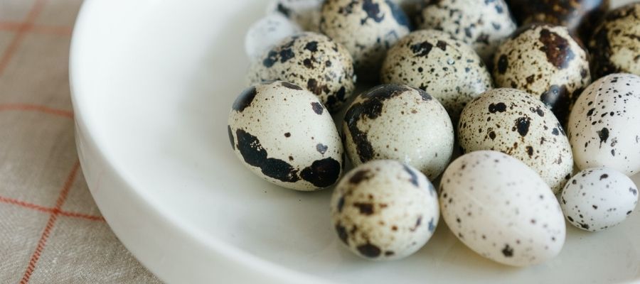 Bıldırcın Yumurtası: Faydaları ve Kullanım Alanları