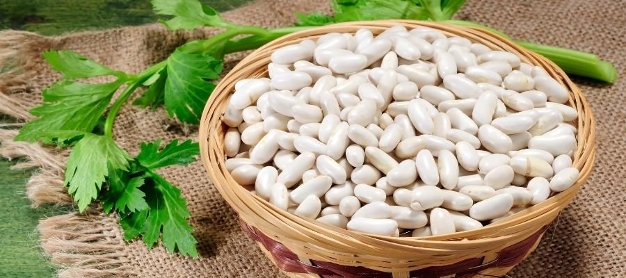 Lezzetli ve Doyurucu Beyaz Barbunya Tarifi