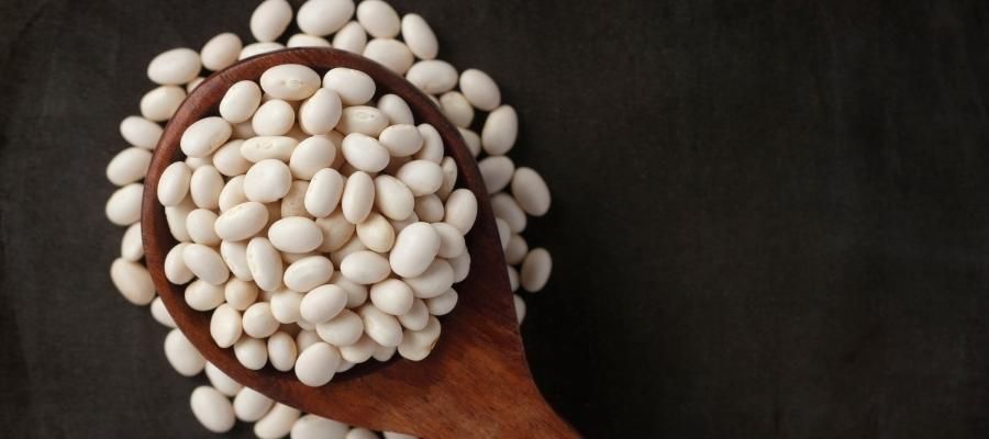 Vitamin Deposu: Beyaz Barbunya Nedir?