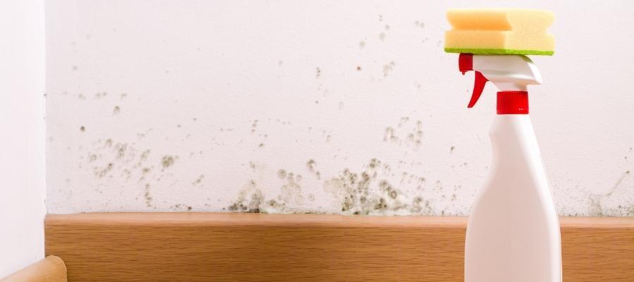 Nem ve Küf: Duvarlardaki Su Lekeleri Nasıl Temizlenir?