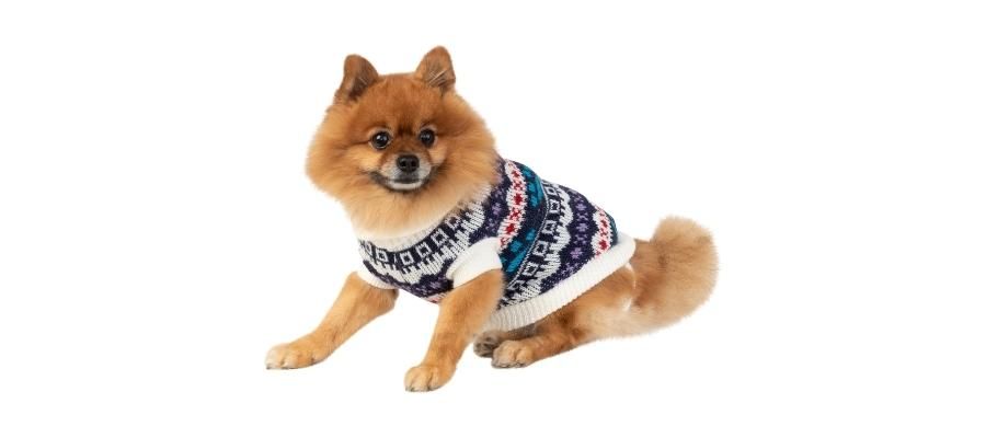 Evde Yapılan Köpek Kıyafetlerinde Eğlenceli Desenler