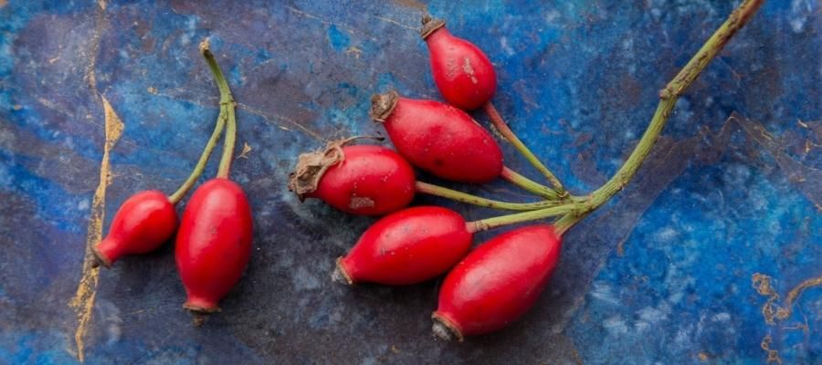 Kuşburnu Marmelatı için Hazırlık Süreci