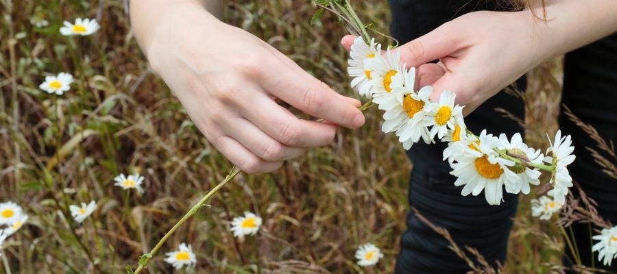 Papatya Tacı Nasıl Süslenir? Farklı Fikirler
